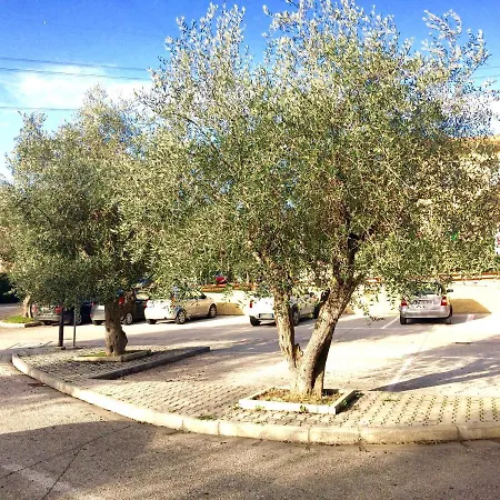 Toscana Flat, Characteristic 7 Km From Pisa Apartment